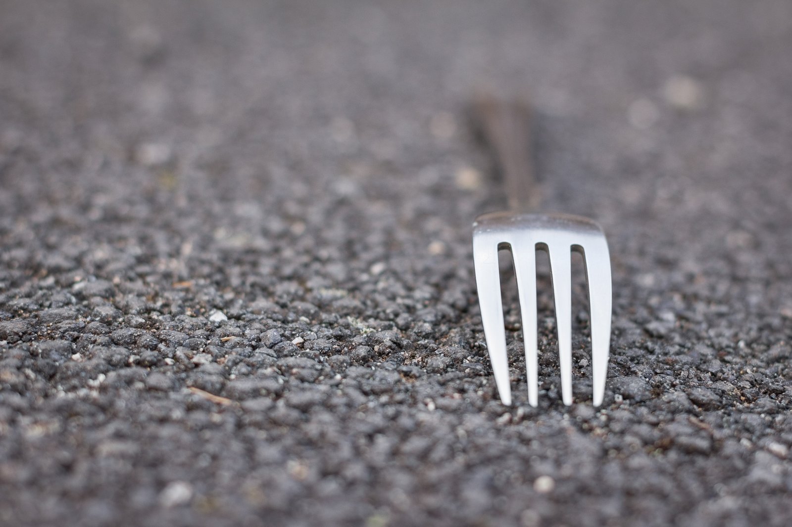 Fork in road